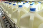 Estrogen in Milk
