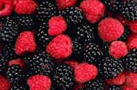 Powerful Longevity Foods