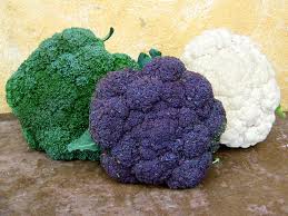Powerful Longevity Foods