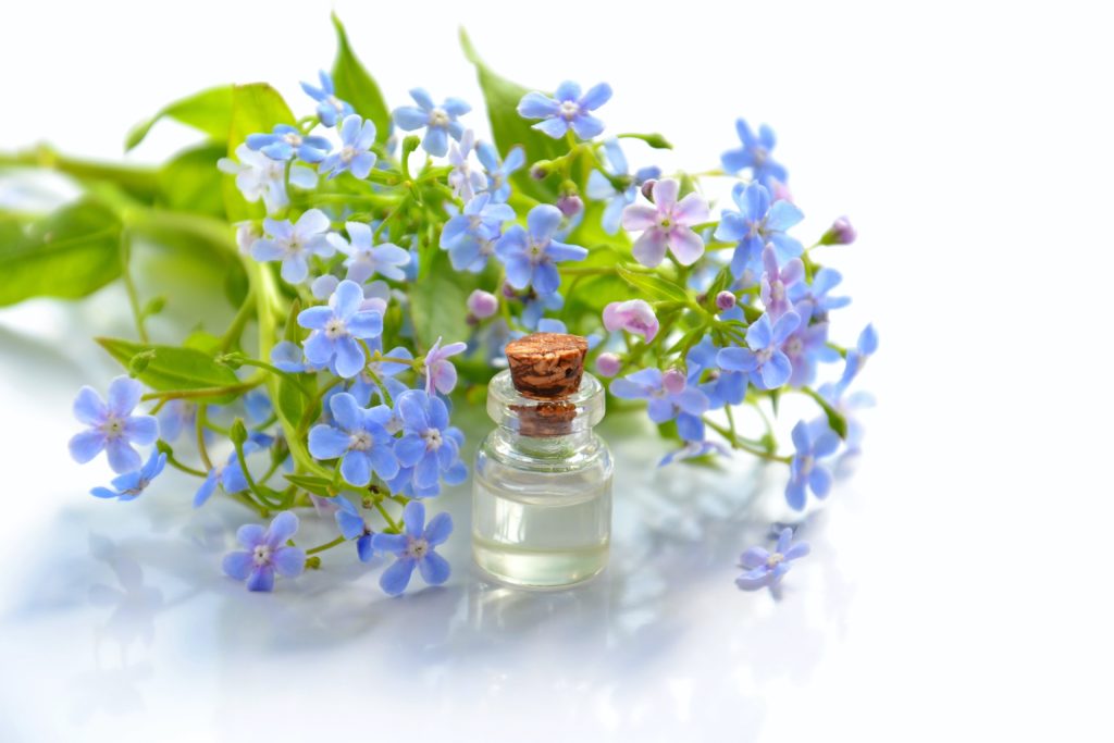 revive-your-senses