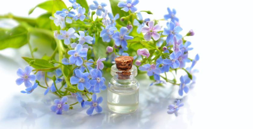 revive-your-senses