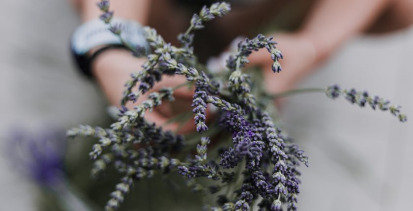 aromatherapy-blends